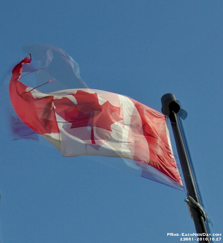 23661CrLe - Afternoon walking at ELM